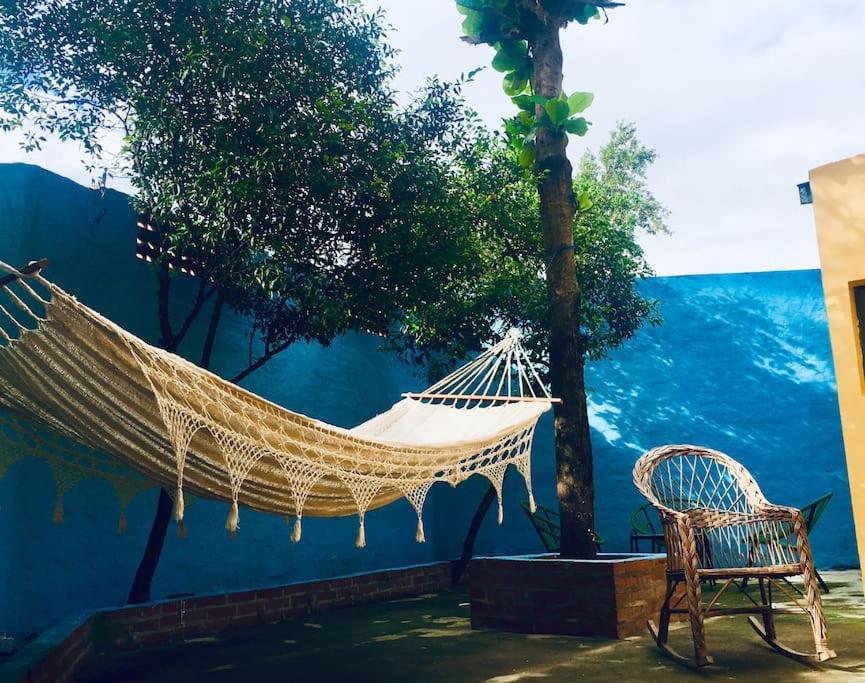 Oasis Isabel1, Asunción