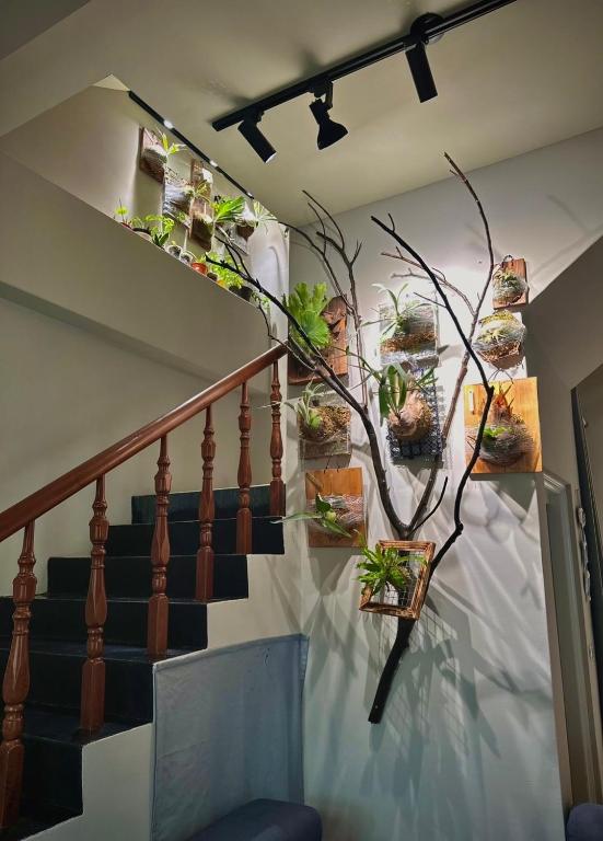 Ludao 38 Degree Ocean view B&B