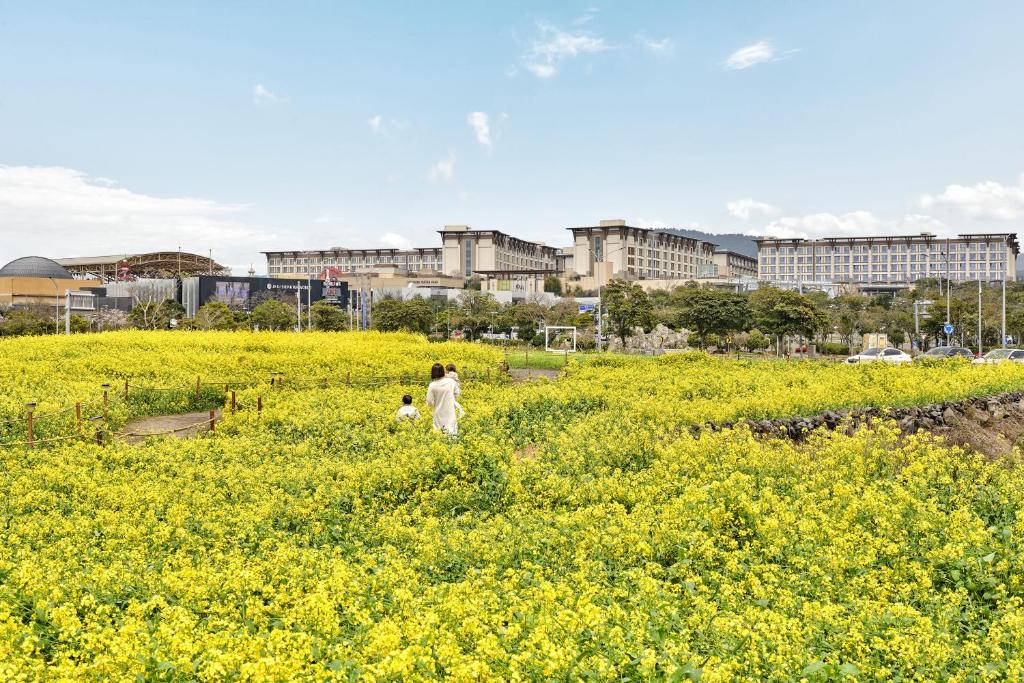 Jeju Jeju Shinhwa World Marriott Resort Additional