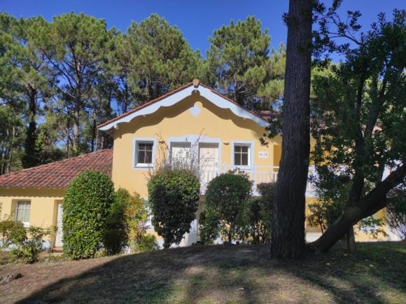 Au milieu des pins, charmant appartement de 38 m2 - 4 personnes - Domaine du Golf - 5