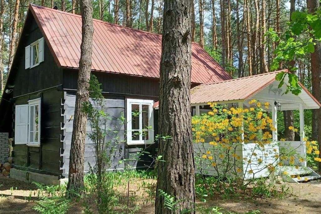 Wilga - urokliwy dom z bala (50 km od Warszawy), Ostry Bór