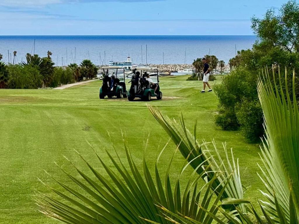 Albatros one bedrooms - 5