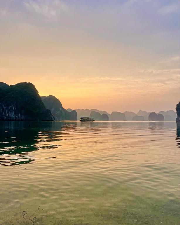 Surrounding environment