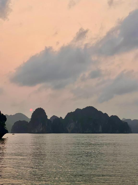 Surrounding environment