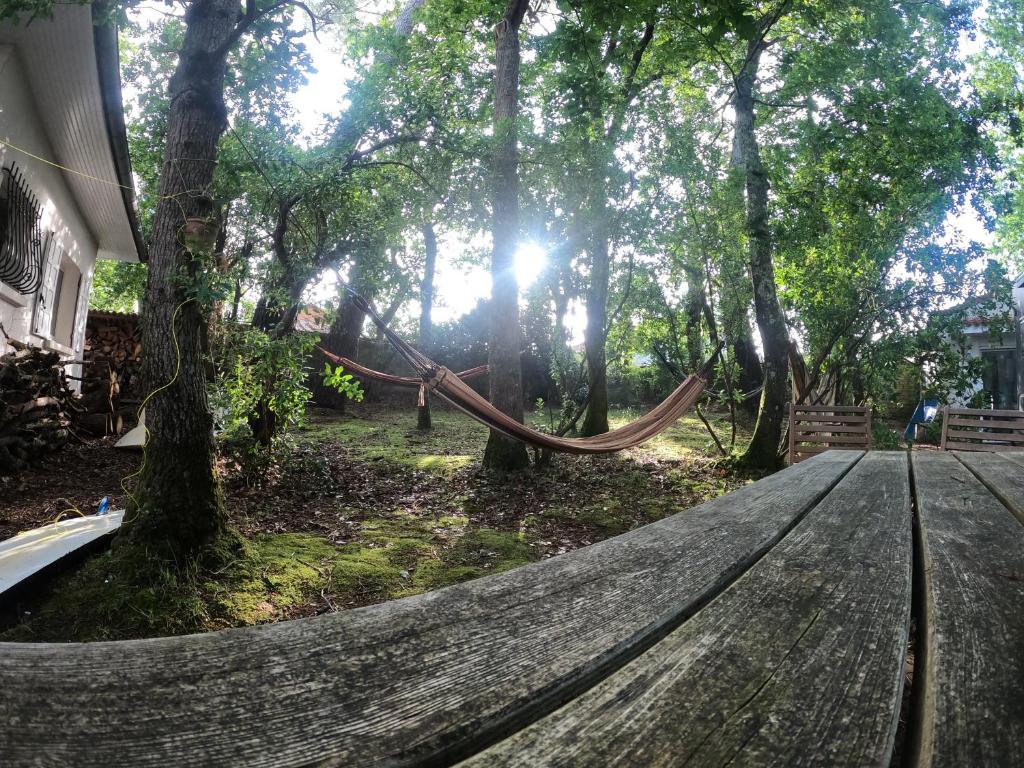 Surfhouse a proximité des spots de surf, Capbreton