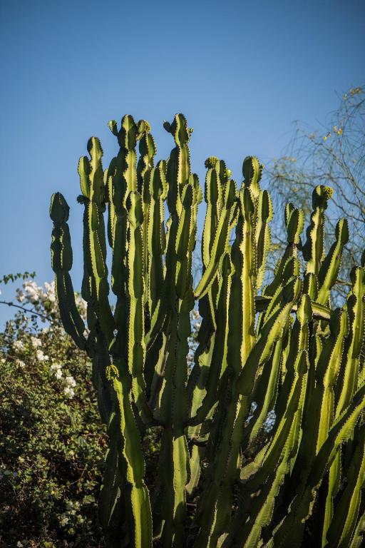 Surrounding environment