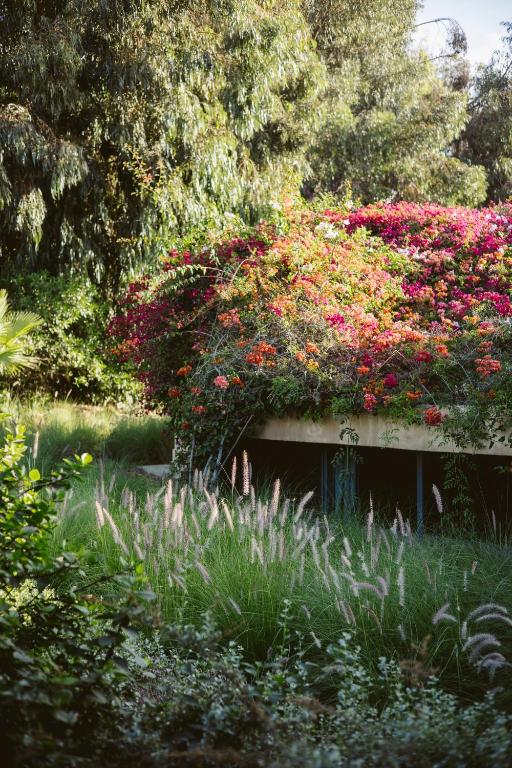 Surrounding environment