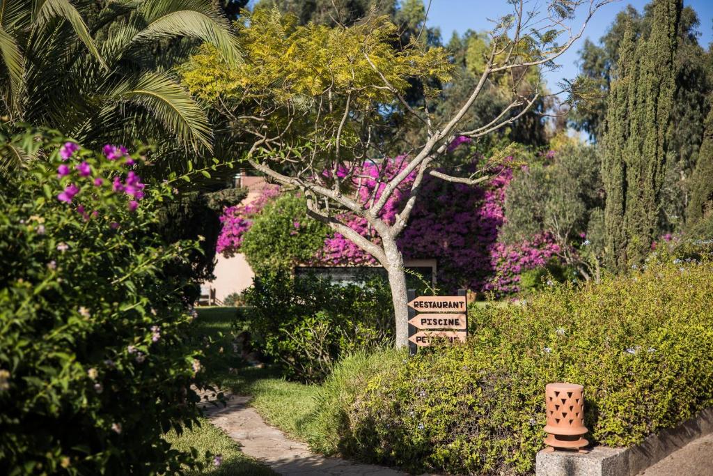 Surrounding environment