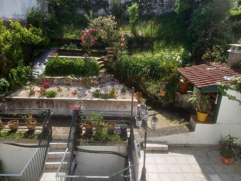 La maison du jardin - 5