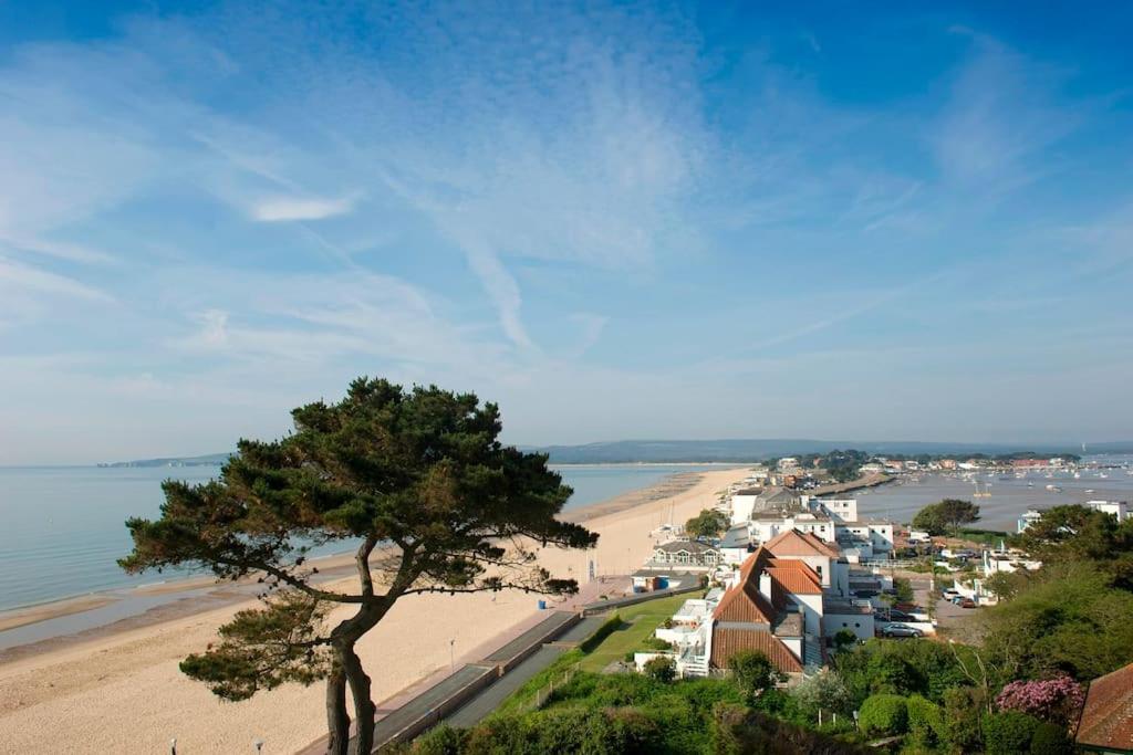 Viewpoint 2 Clifftop Apartment, Southbourne photo 5
