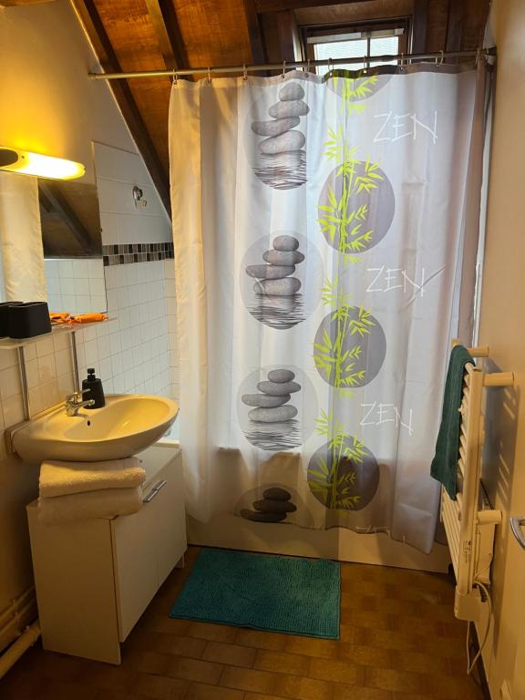 Le mortier d’or duplex hyper centre ville - 3