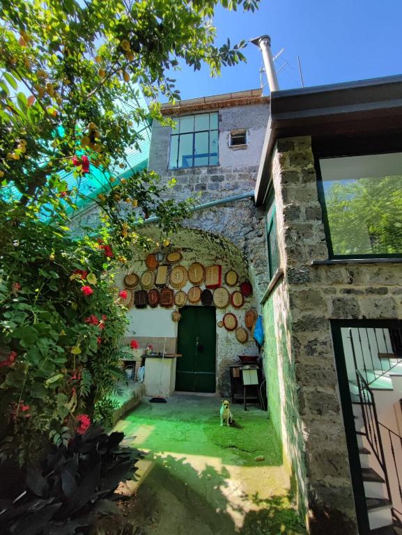 San Renato Country house - 2