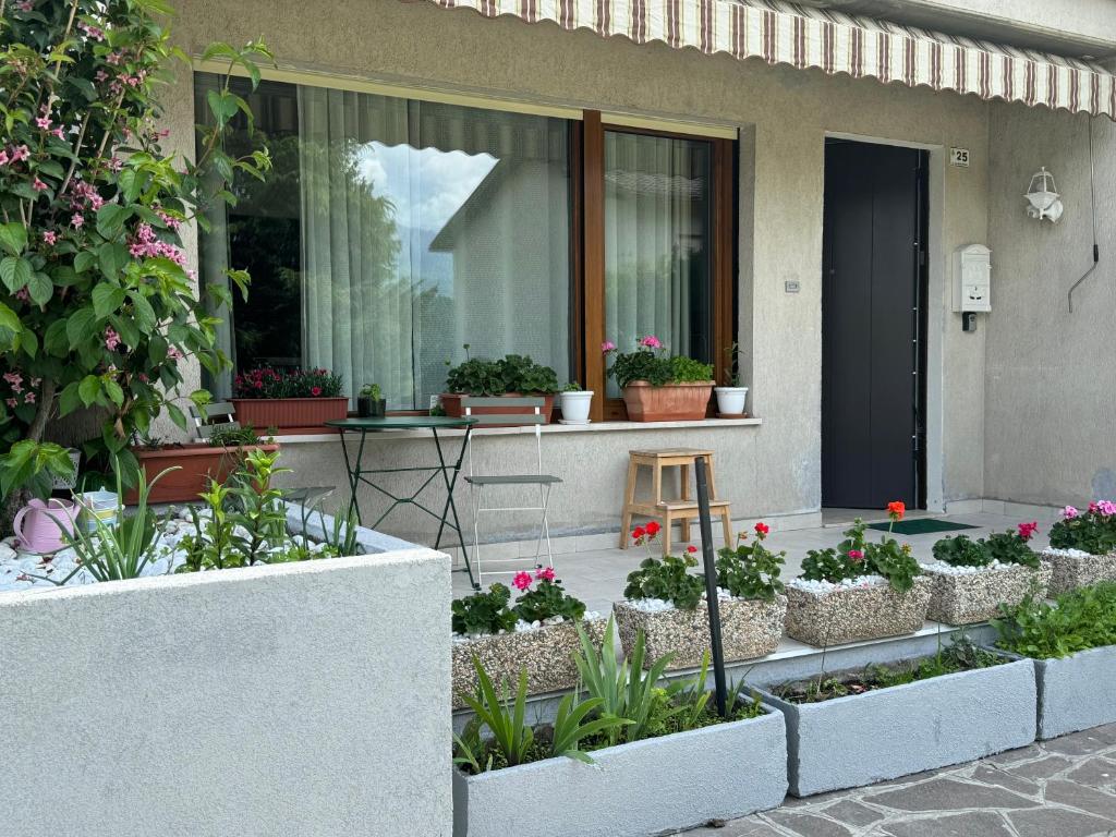 Green House Next - Lovely Apartment for family and Free Parking - 4