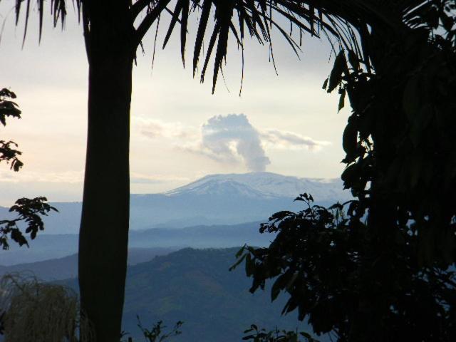 Surrounding environment