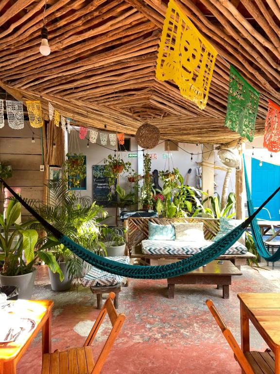Barco Verde Hostel, Ostrov Holbox