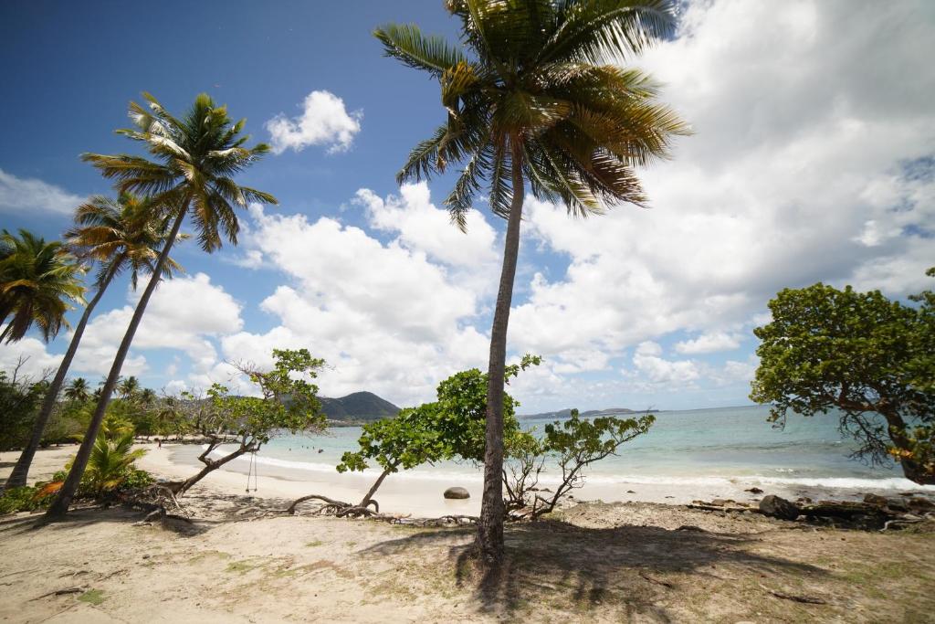 Félix, T2 accès plage Gros-Raisins Sainte-Luce, Sainte-Luce