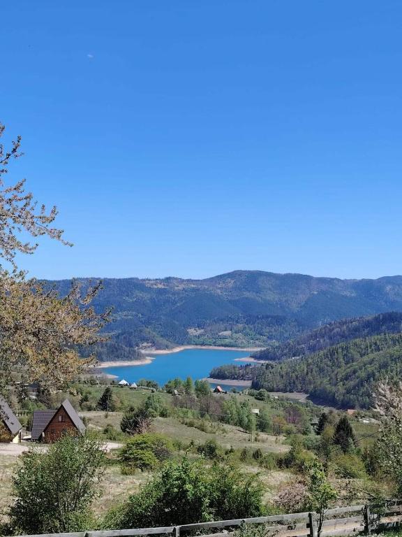 Aurora Tara 1, Bajina Bašta