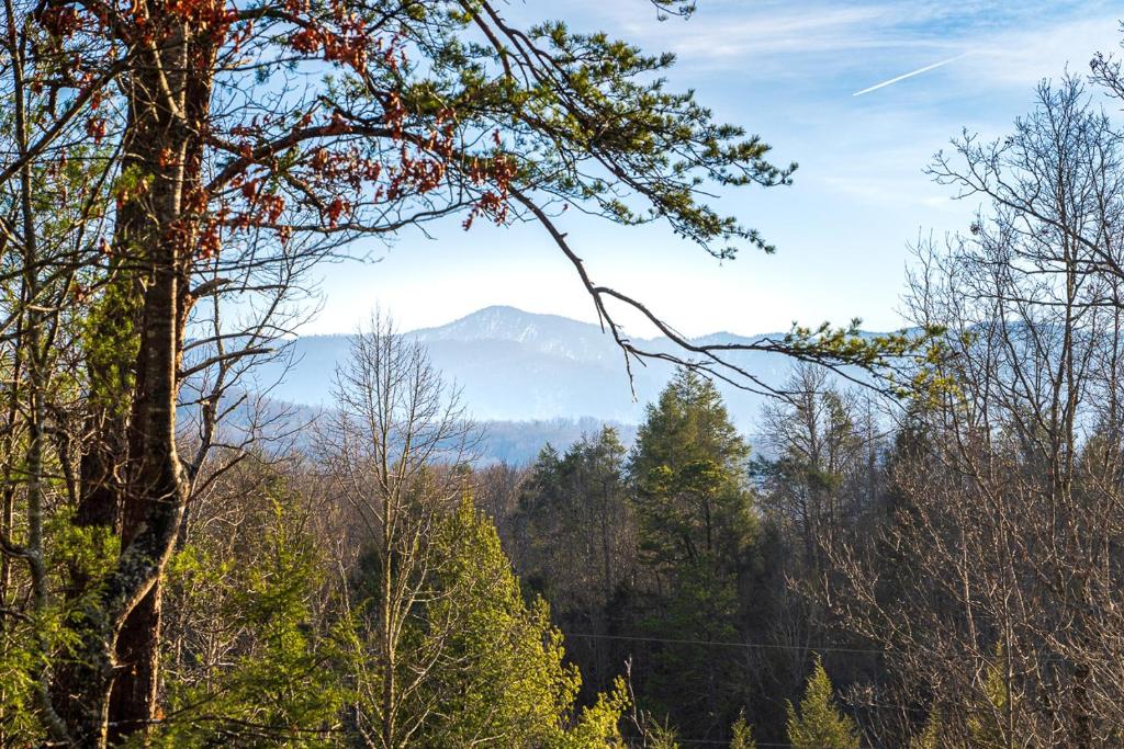 Trail's End by Stony Brook Cabins, Gatlinburg
