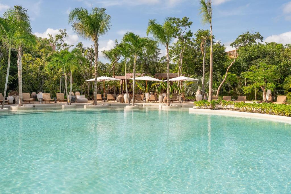 Amazing 1BR Tulum Jungle with Restaurant, Pool and Gym - 3