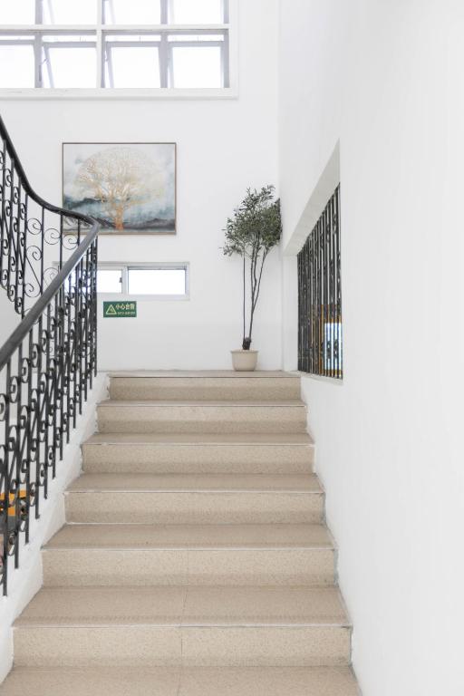 المنظر الخارجي