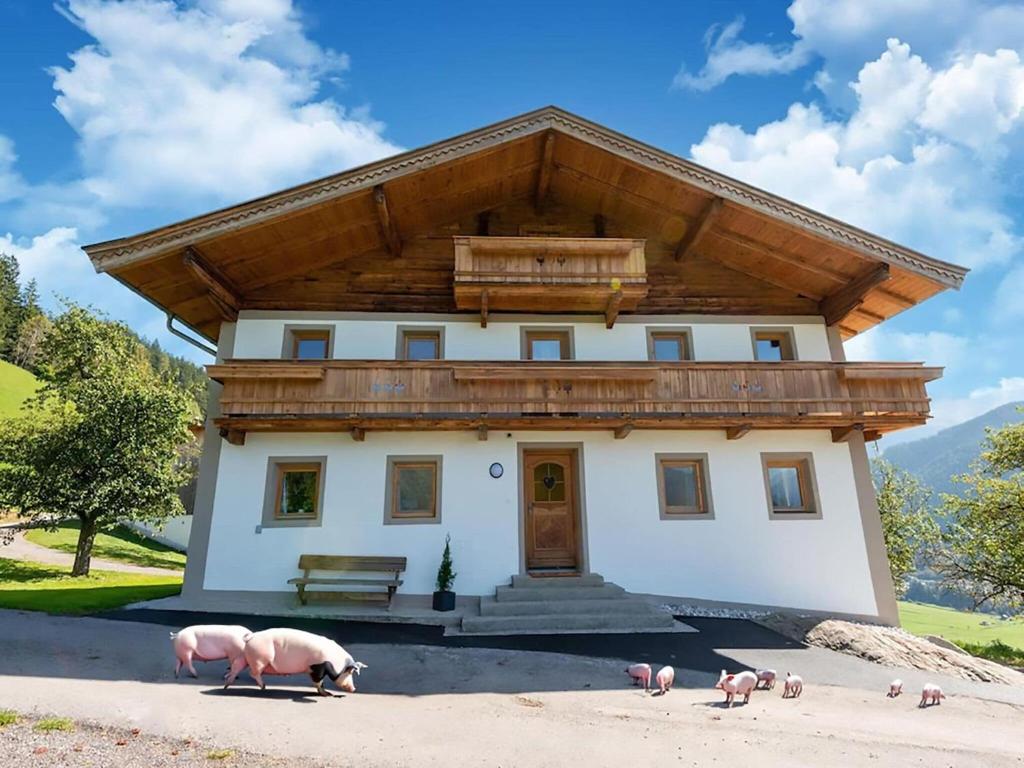 Farmhouse in Wildkogel near Ski Slopes - 2