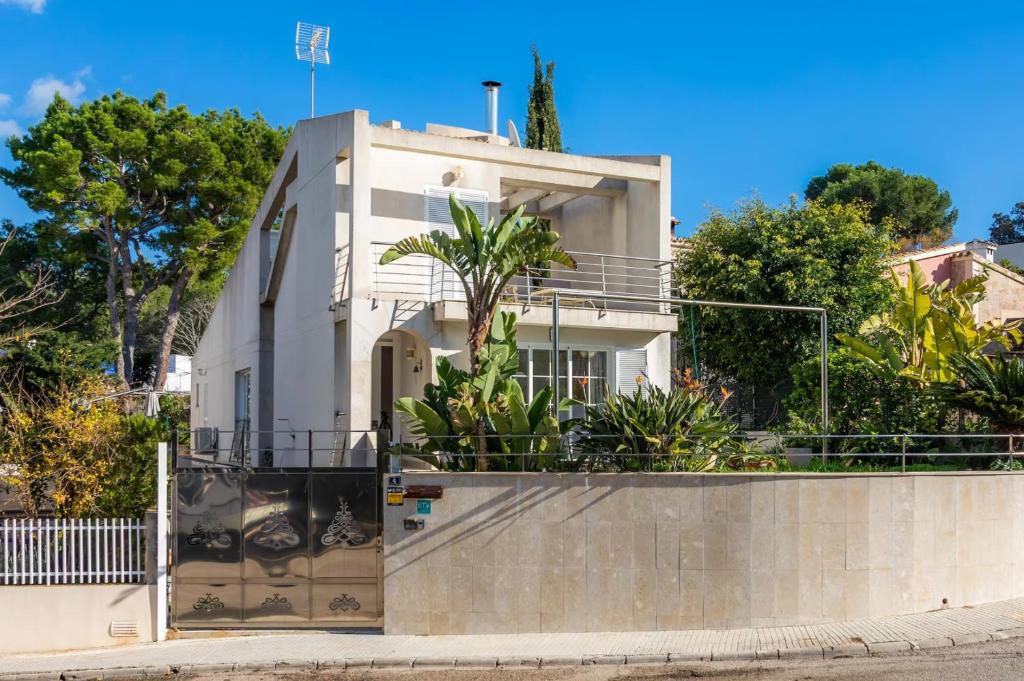 Alcudia - 4786-64 Mallorca - 2