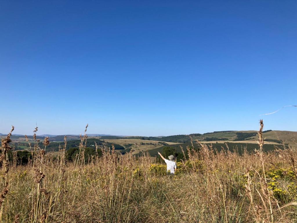 Surrounding environment