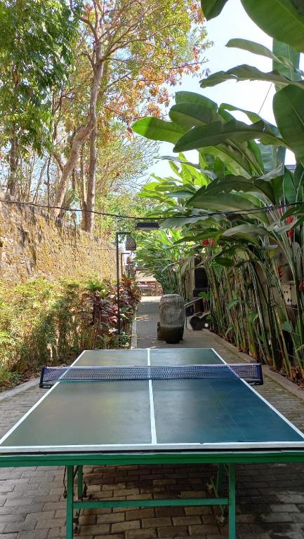 アクティビティ