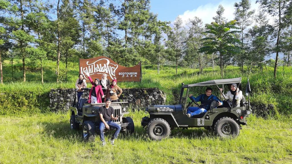 アクティビティ