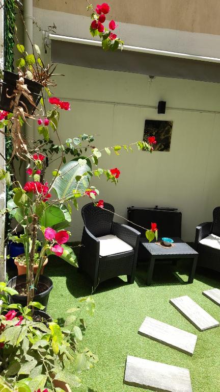 Garden Suite Apartment - 3