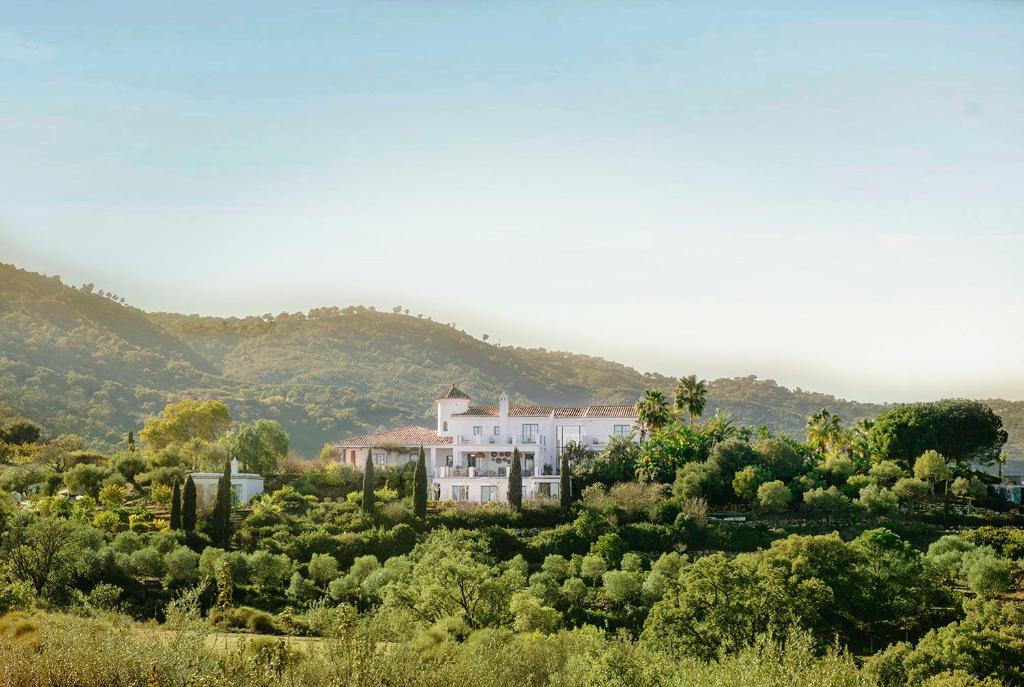 Viluz - Wellbeing Resort Marbella - 5