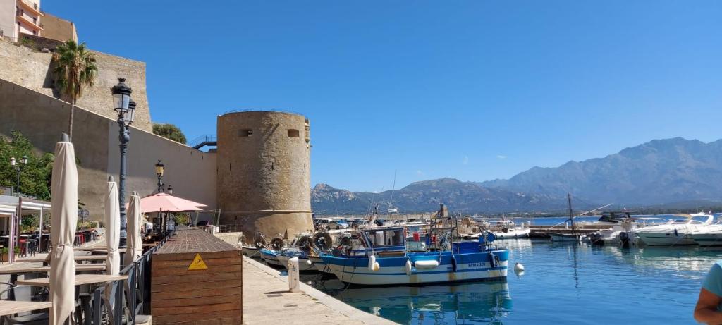 Appartement Rivages 100m plage CALVI - 2