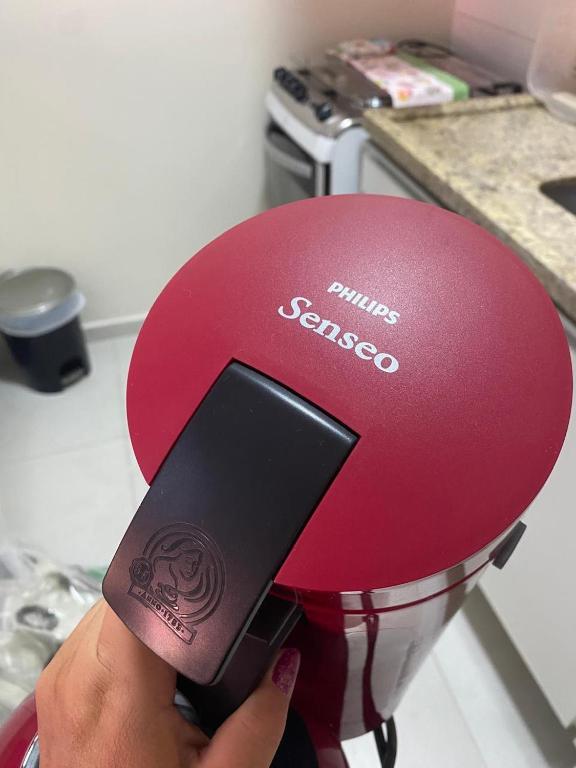 Flat amarilis, Bertioga