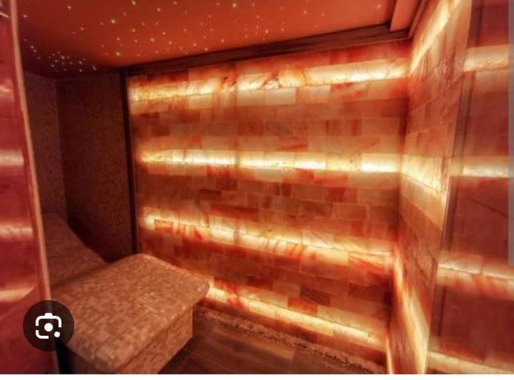 Spa Apartman Vracar - 1