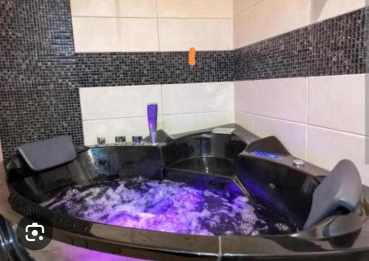 Spa Apartman Vracar - 2