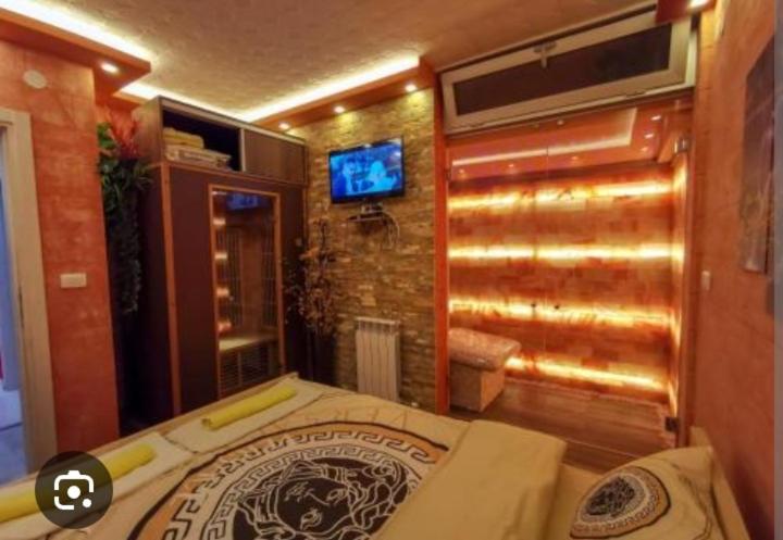 Spa Apartman Vracar - 4
