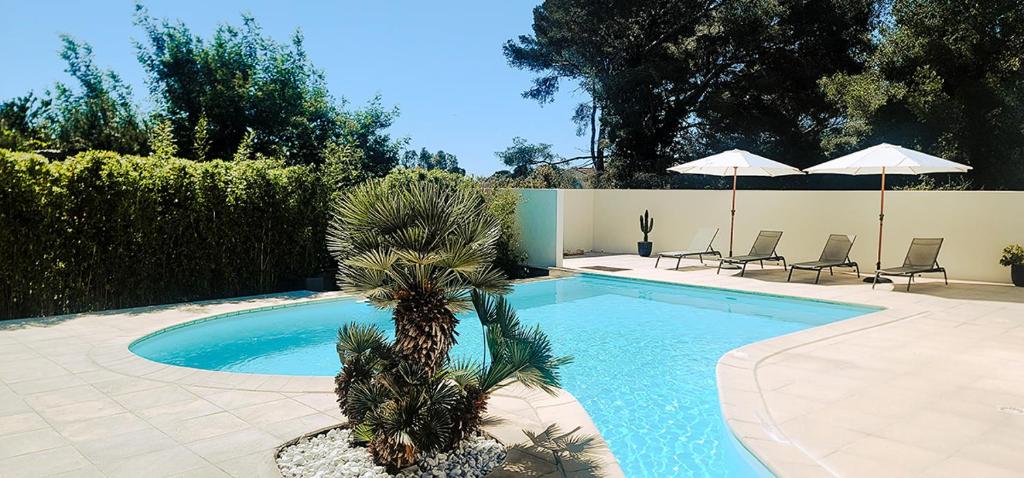 LA VILLA ALBA - 3