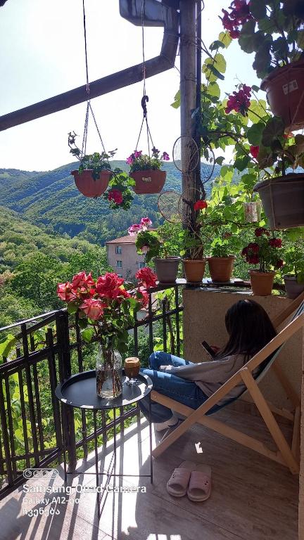 Cherqe Guest House, Signagi