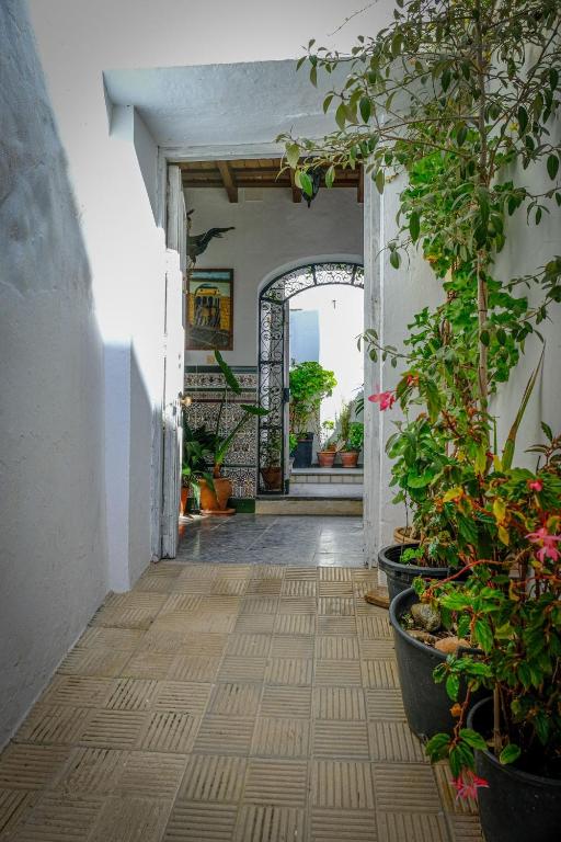 Al azur, Vejer de la Frontera