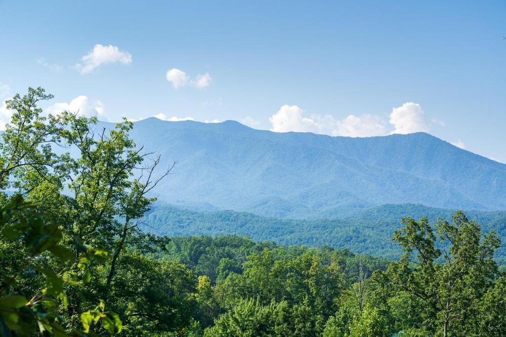 Another Day in Bearadise By Stony Brook Cabins, Gatlinburg