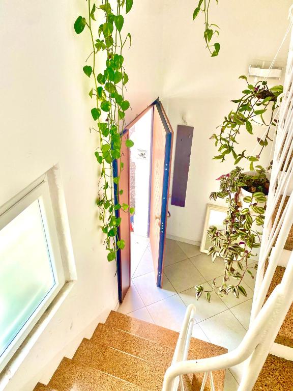 Stanza e bagno privato, idromassaggio con extra fee, in appartamento - 3