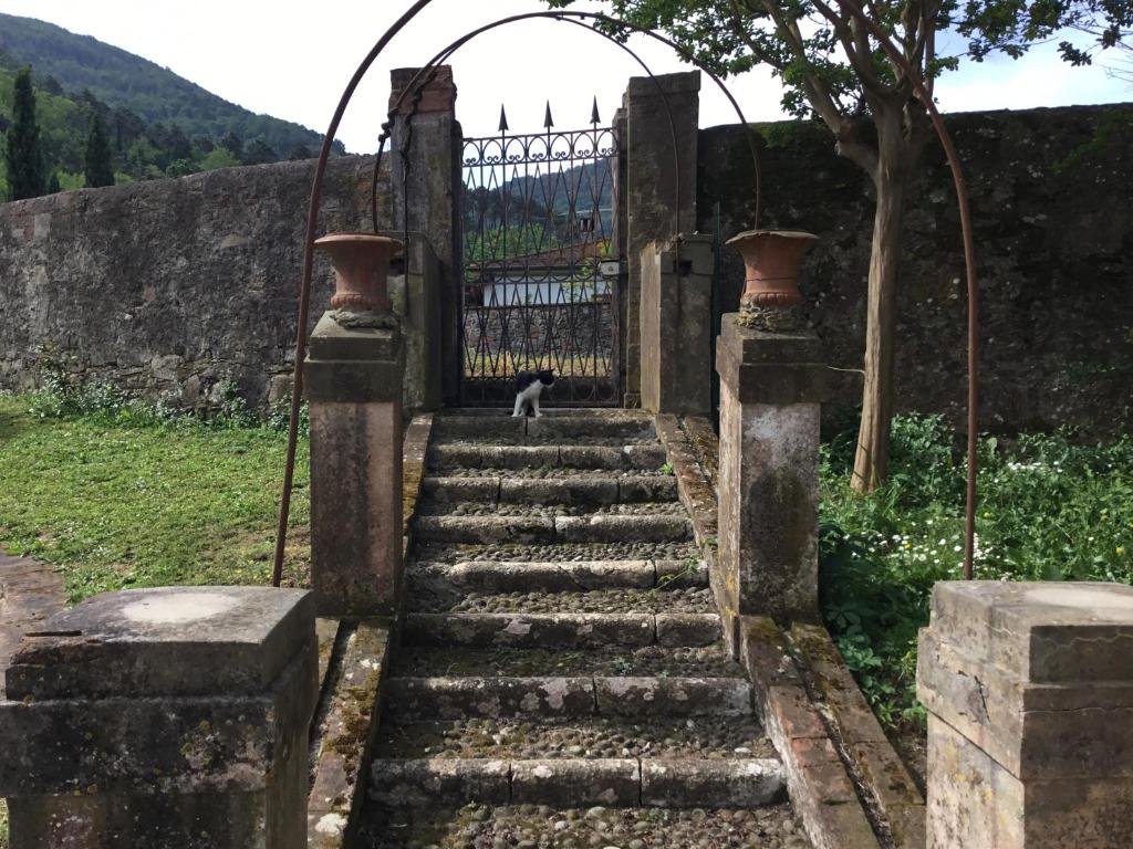 Villa Tambellini de Fondra - 3