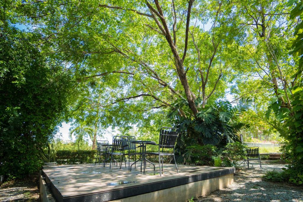 Surrounding environment