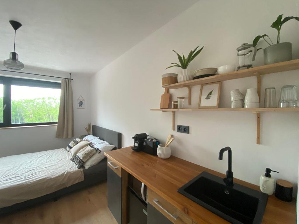 Studio Arnoštka, Vimperk