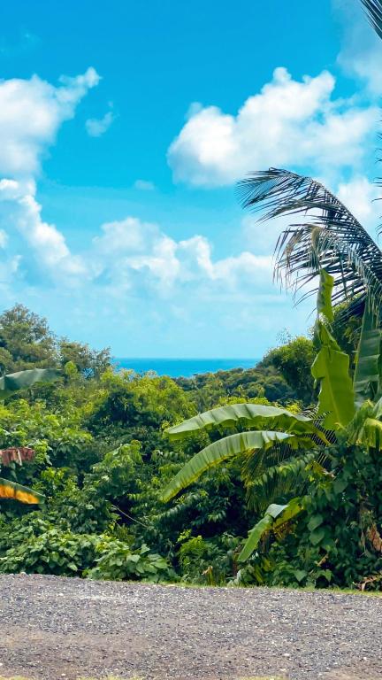 Charmant studio vue mer, O calme, Le Gosier