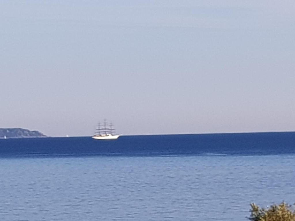 VIEILLE VILLE D AJACCIO de 1 a 4 PERs A 300M DU PORT ET A 15 MN DE LAEROPORT PROCHES DE PLUS BELLES PLAGES ET TTES COMMODITES A PROXIMITE - 3