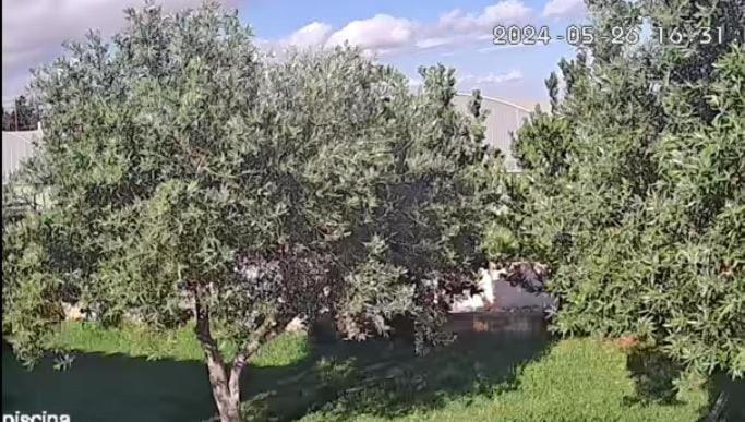 Debel house - 5