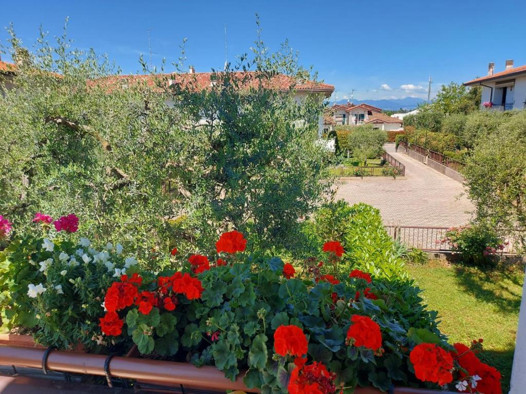 Casa Rosanna - 3