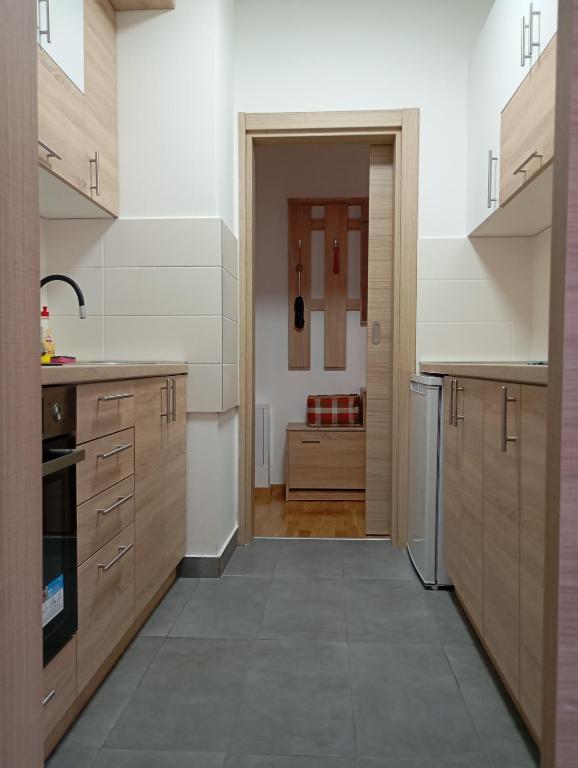 Antique Danube apartment - 4