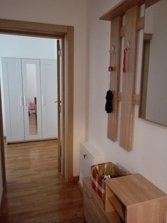 Antique Danube apartment - 3